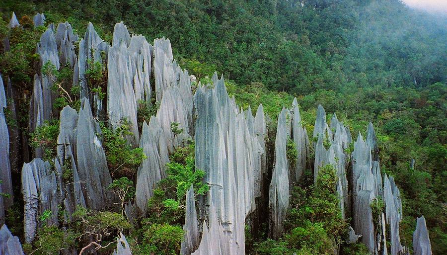 Parque Nacional de Gunung Mulu: el pasaje de caverna más grande del mundo (Cueva del Ciervo)