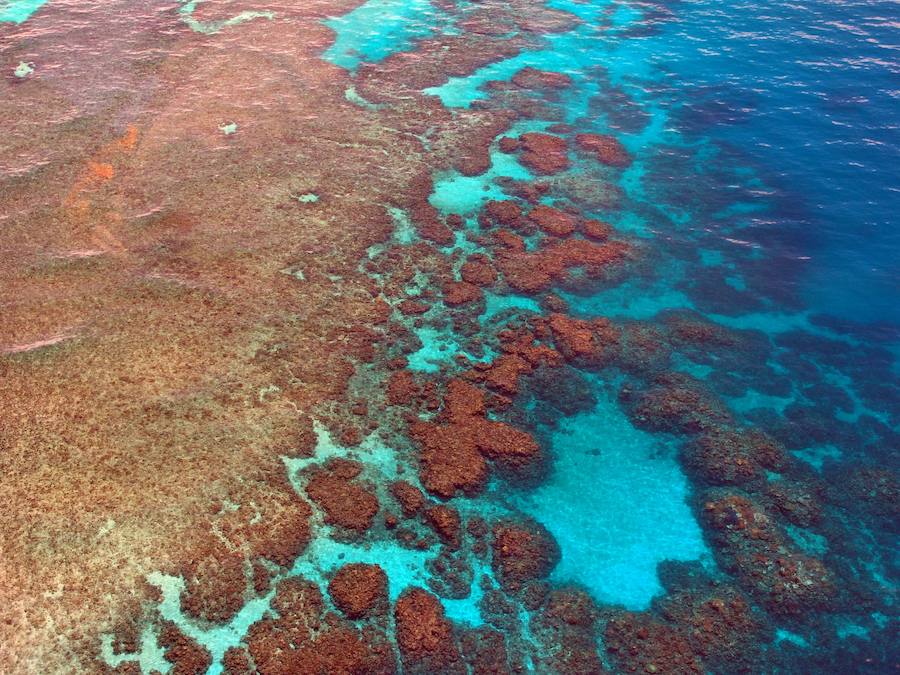 La Gran Barrera de Coral: el arrecife más grande del mundo