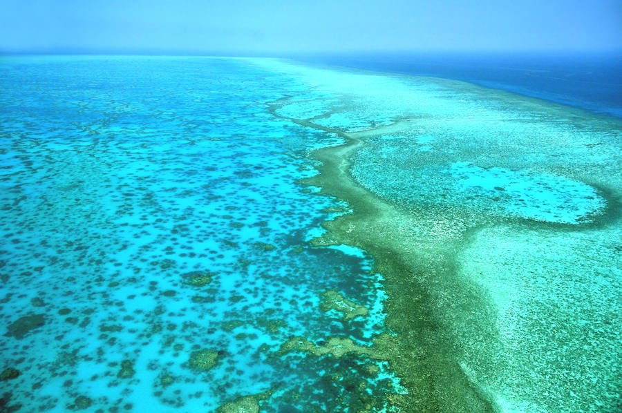 La Gran Barrera de Coral: el arrecife más grande del mundo