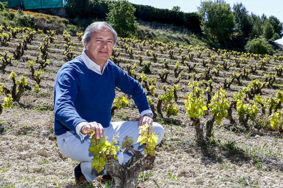 Fotos: Un brindis por Rioja Alavesa y Portugal