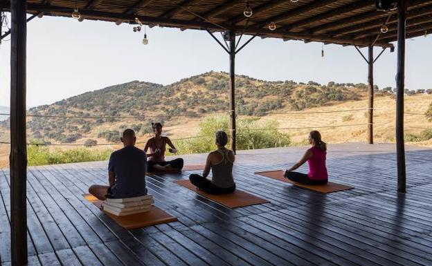 Momentos de meditación en plena naturaleza.