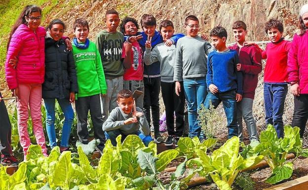 Los alumnos del colegio de Amaña toman parte en proyectos de cuidado de la naturaleza y de reciclaje de residuos.