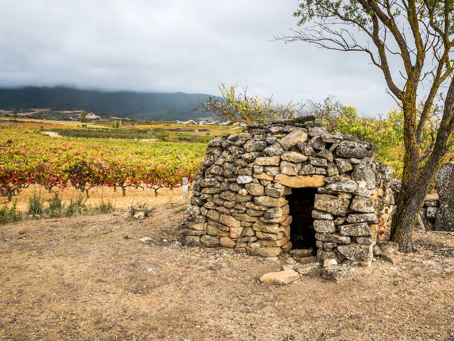 Dolmen de San Martín, Laguardia (La Rioja) | Esta construcción forma una especie de zona poligonal con capacidad para 21 enterramientos.