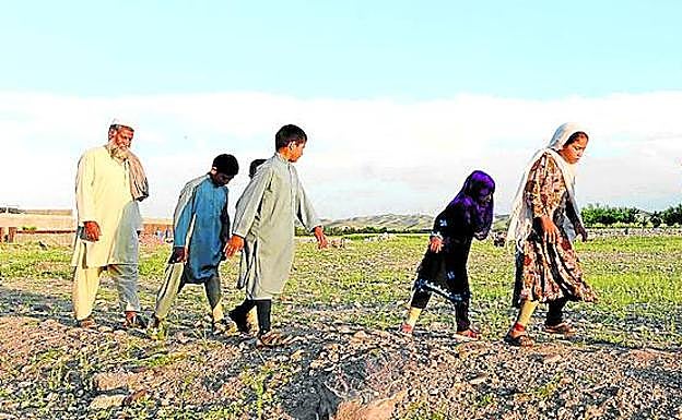 Imagen principal - Arriba, algunos de los niños caminando delante de Hamisha Gul, el patriarca. A la izquierda, junto a la abuela Niaz Bibi, armada con un fusil. Y a la derecha, la pequeña Marwa, de seis años, que perdió a su madre, su hermana gemela y a dos de sus primos, escribiendo en la rudimentaria pizarra que tienen en casa.