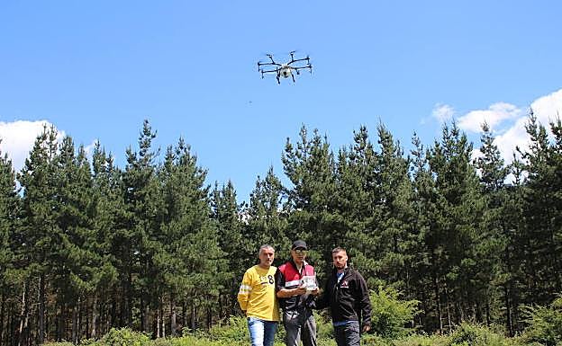 Imagen principal - El tratamiento se realiza en las copas, en zonas acotadas y sin apenas afección ambiental.