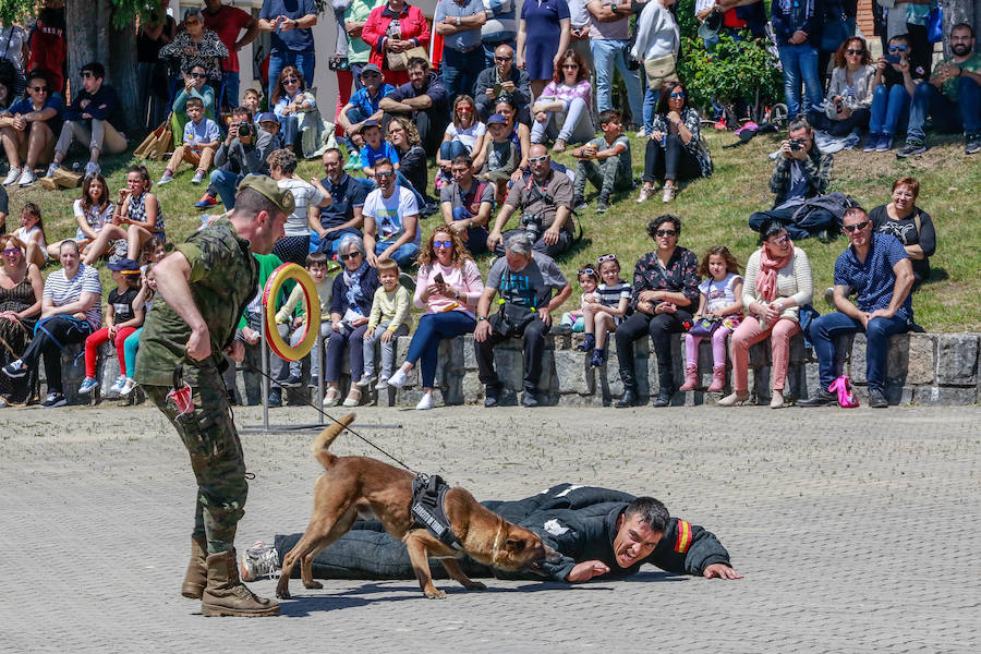 Una exposición de materiales, carros de combate, vehículos blindados o helicópteros de la Unidad Militar de Emergencia se pudieron ver este sábado durante la jornada de puertas abiertas que la Comandancia Militar de Álava organizó para intentar acercar a la ciudadanía el trabajo de las diferentes unidades de las Fuerzas Armadas y de la Guardia Civil