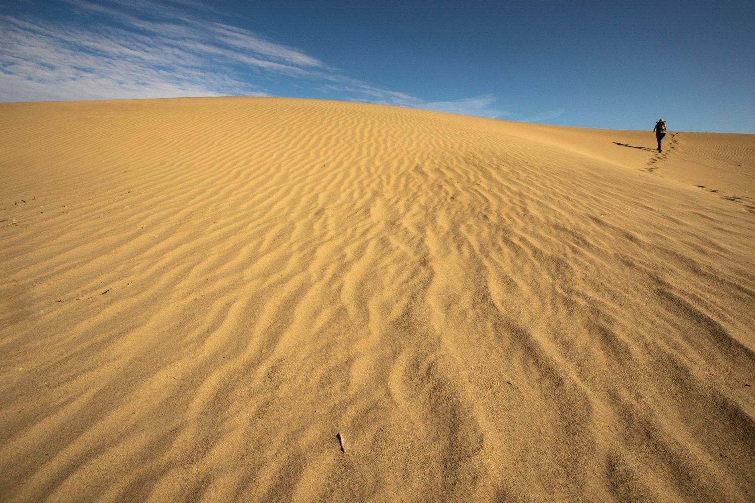 Una turista camina por las dunas de Mesquite, en el Valle de la Muerte, cercano a Furnace Creek, en California, Estados Unidos. El Valle de la Muerte atrajo a más de 1,65 millones de visitantes en 2018. 