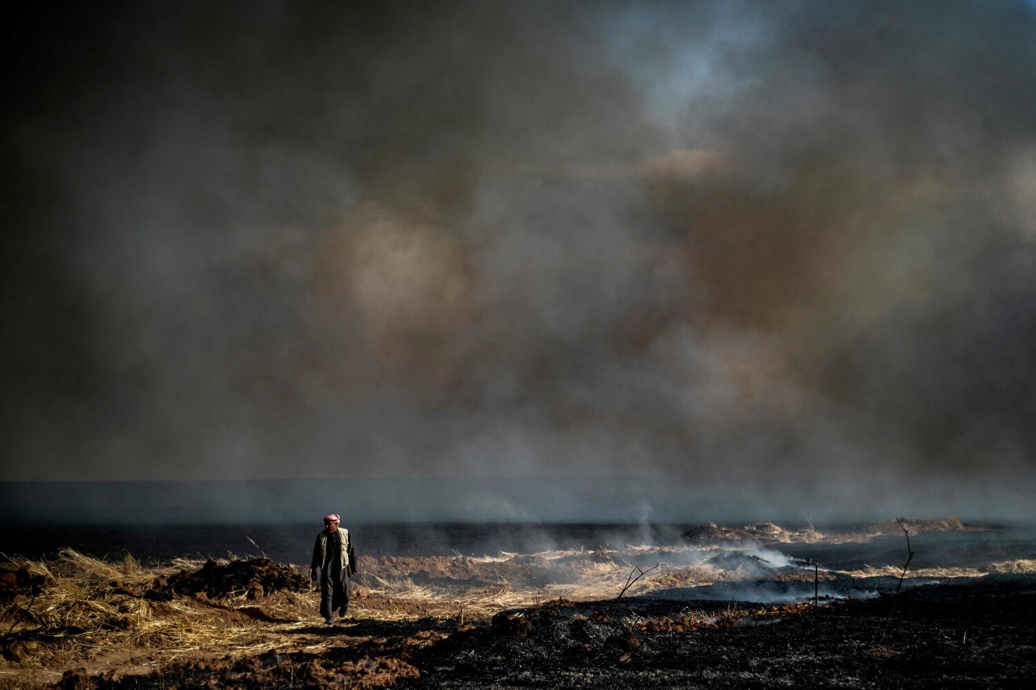 Un hombre camina en un campo mientras el humo ondea en un campo agrícola en la ciudad de al-Qahtaniyah, en la provincia de Hasakeh, cerca de la frontera sirio-turca. Los incendios han estallado en varias partes de Siria en las últimas semanas, con todos los lados culpándose unos a otros por iniciarlos. En la provincia de matoria kurda de Hasakeh, de la que forma parte Al-Qahtaniya, IS ha reivindicado varios ataques incendiarios en campos de trigo. 