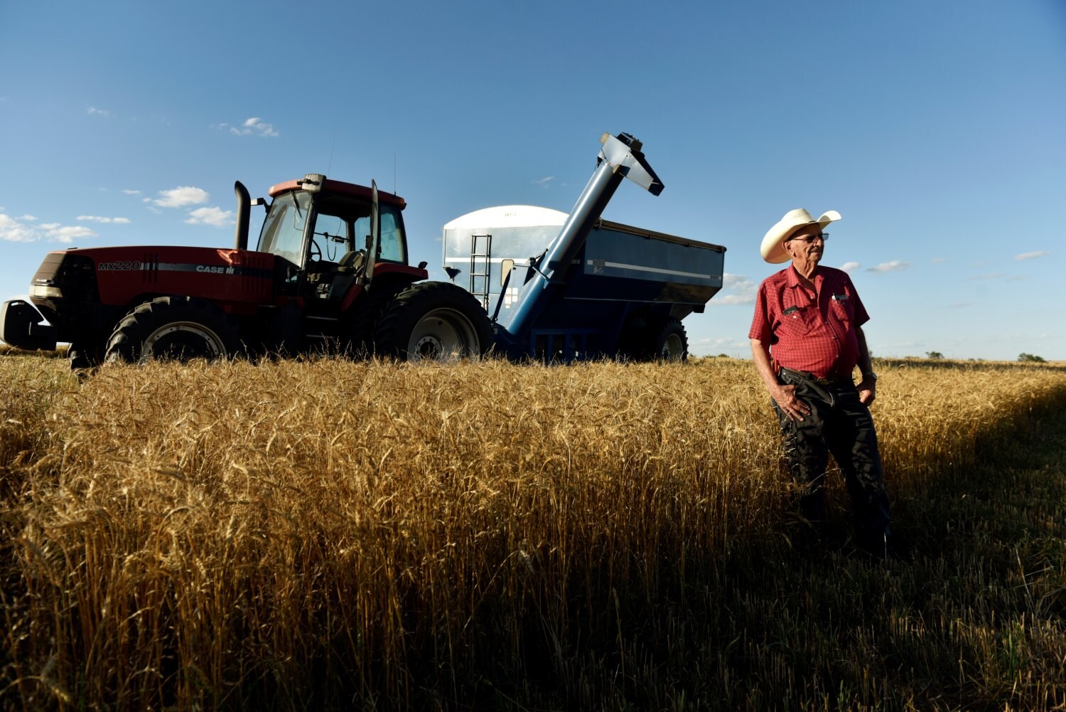El granjero Jacob Gossen toma un descanso en los campos de su familia durante la cosecha de trigo en Corn, Oklahoma, EE. UU