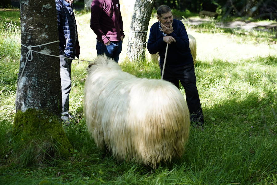 Más de un centenar de cabezas y 26 puestos agrícolas participan en el tradicional mercado
