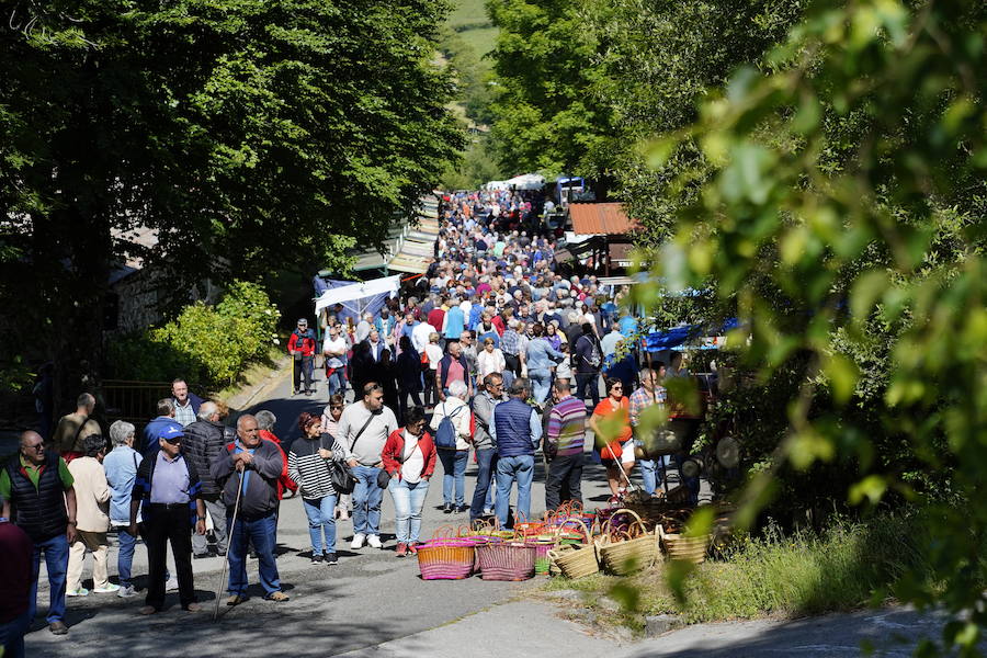 Más de un centenar de cabezas y 26 puestos agrícolas participan en el tradicional mercado