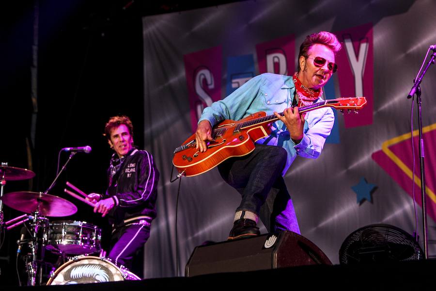 Fotos: The Stray Cats, la nueva vida de los gatos descarriados en Vitoria