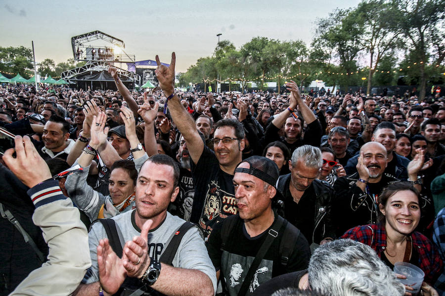 Fotos: The Stray Cats, la nueva vida de los gatos descarriados en Vitoria