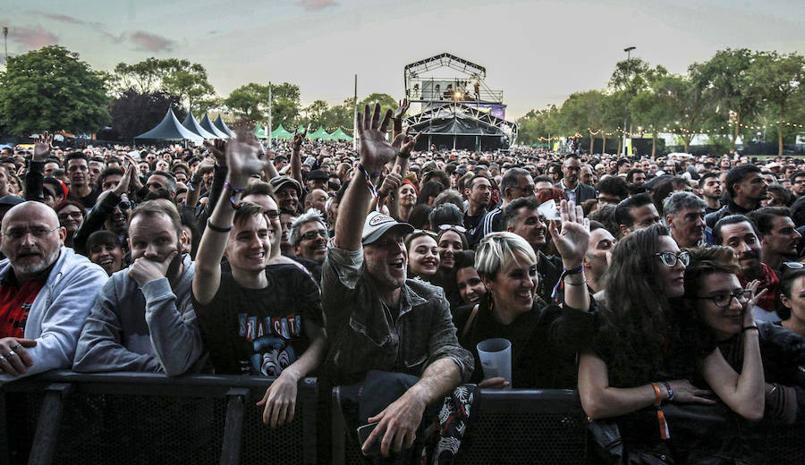 Fotos: The Stray Cats, la nueva vida de los gatos descarriados en Vitoria
