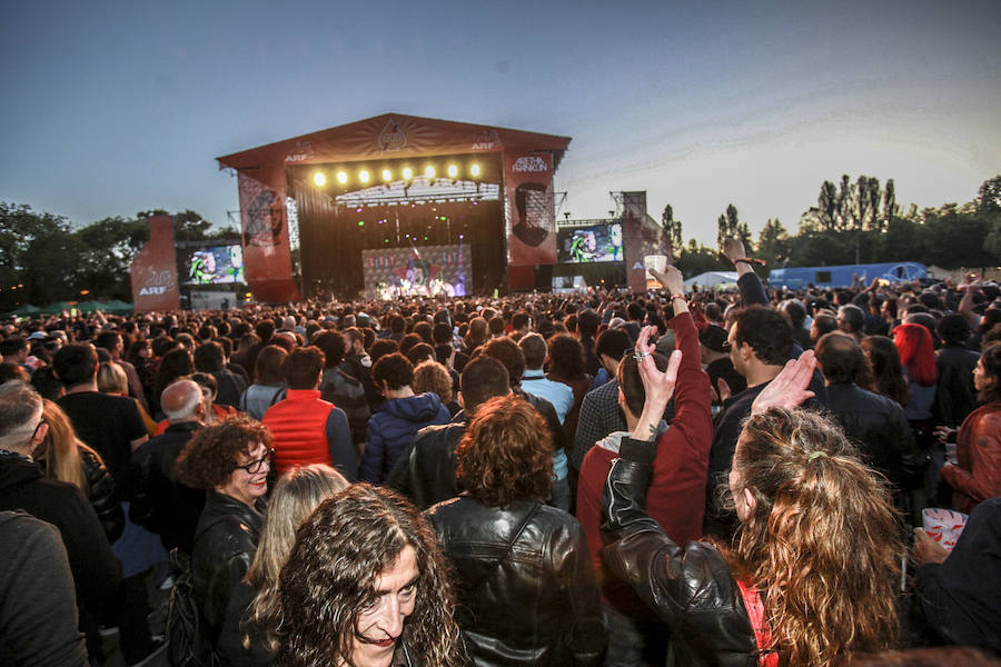 Fotos: The Stray Cats, la nueva vida de los gatos descarriados en Vitoria