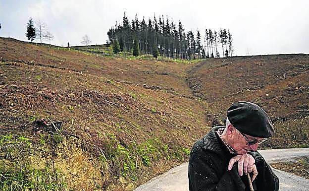 Un jubilado pasea junto a una ladera deforestada en las inmediaciones de Munitibar.