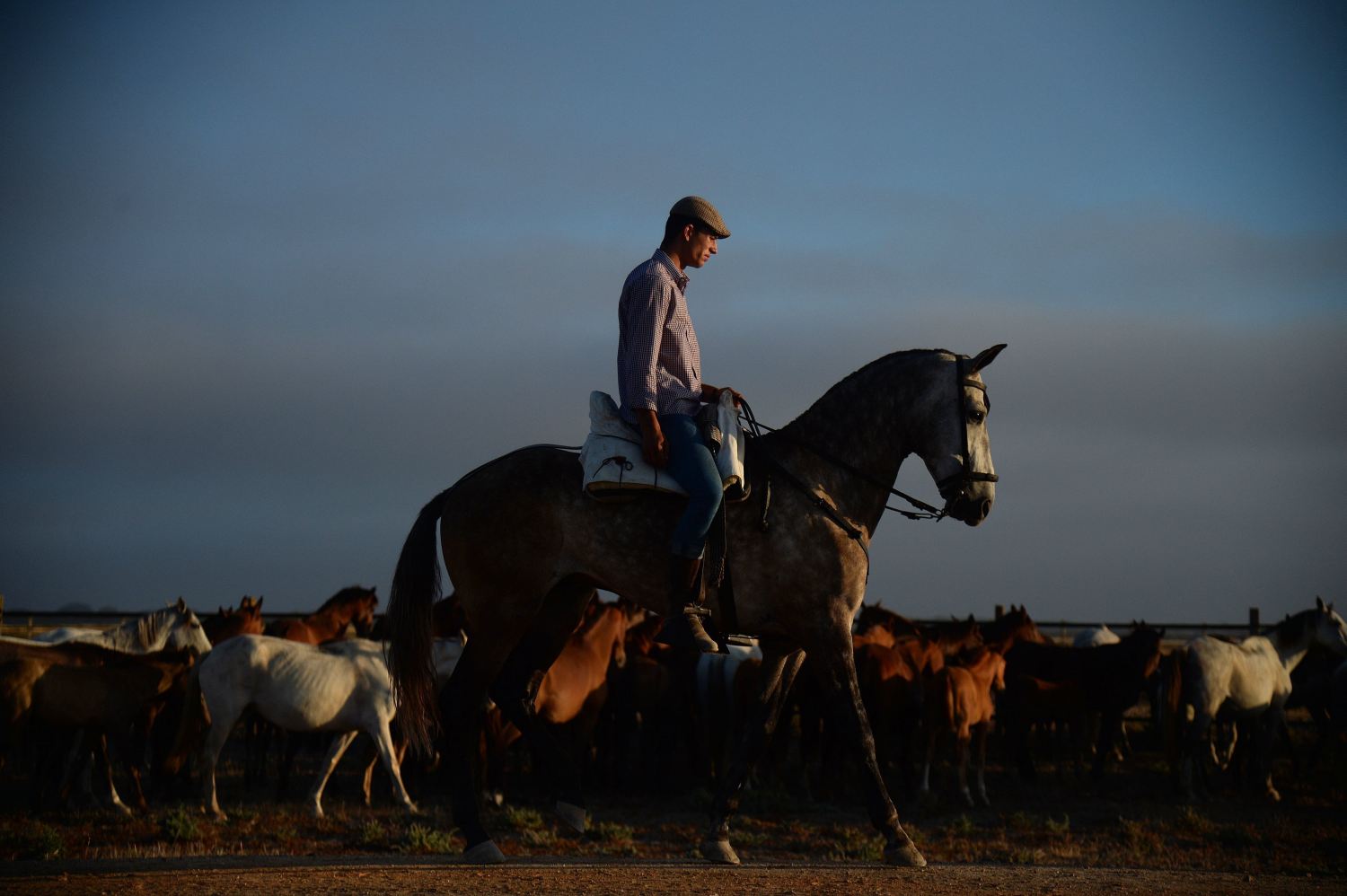 Un hombre guía a los caballos durante la anual "Saca de las Yeguas" en el Parque Nacional de Doñana, en Andalucía