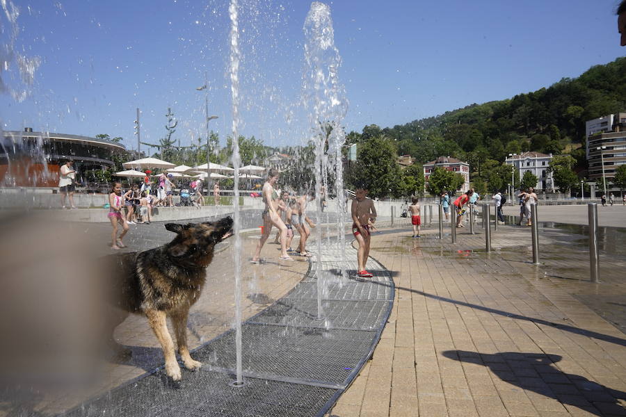 Fotos: Ola de calor en Bizkaia