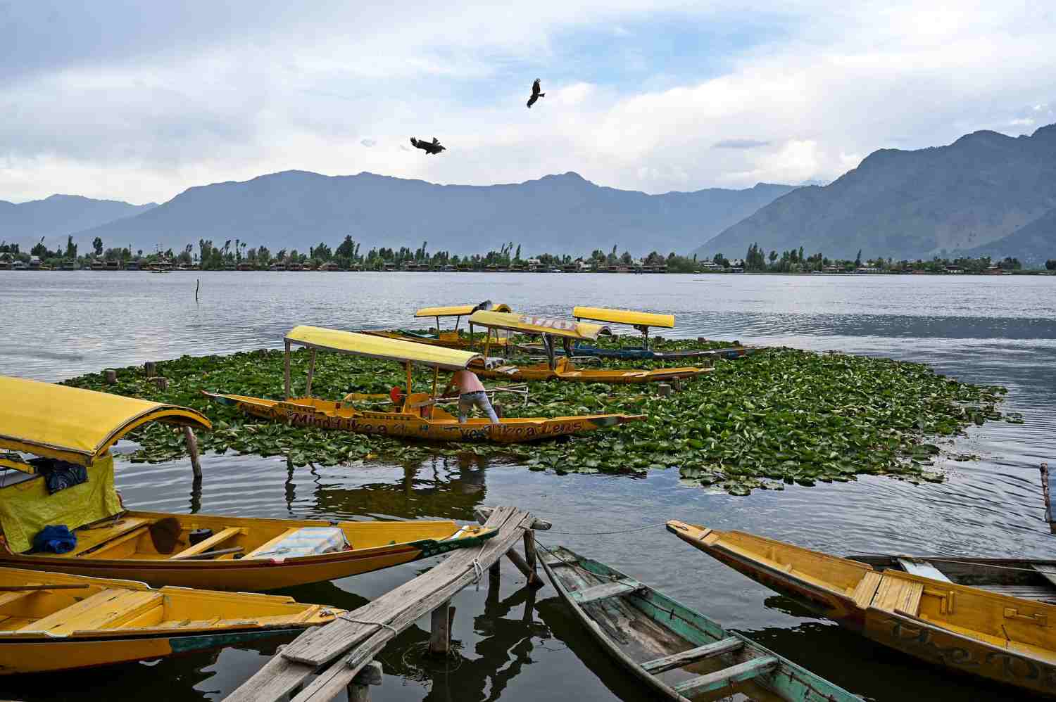 Un barquero de Kashmiri en su bote mientras espera a los clientes en el lago Dal en Srinaga, India.