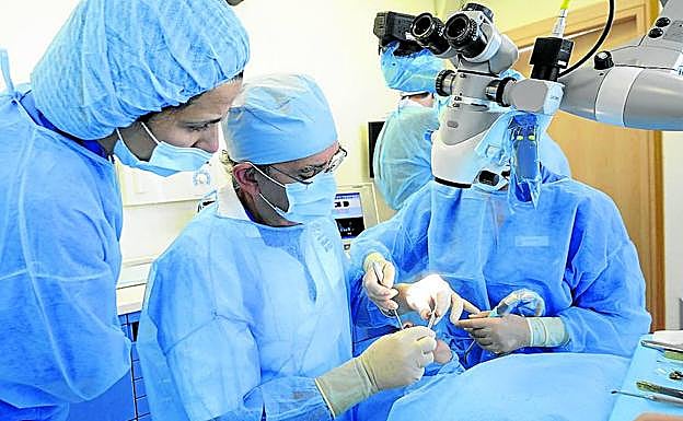 Eduardo Anitua, en el centro, en una intervención oral con su equipo en Vitoria.