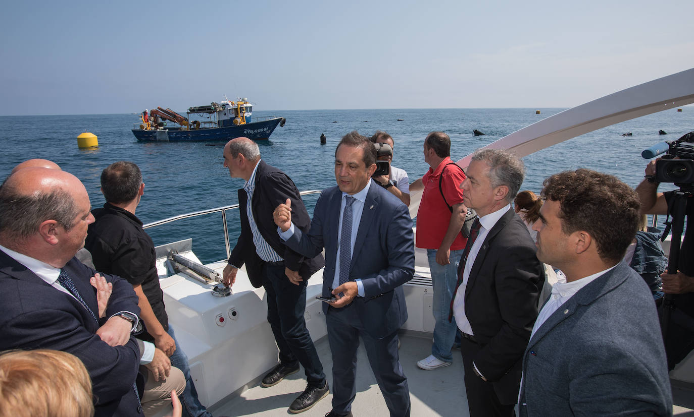 Así se denominará a este molusco que se producirá en la costa entre Onaddoa y Lekeitio