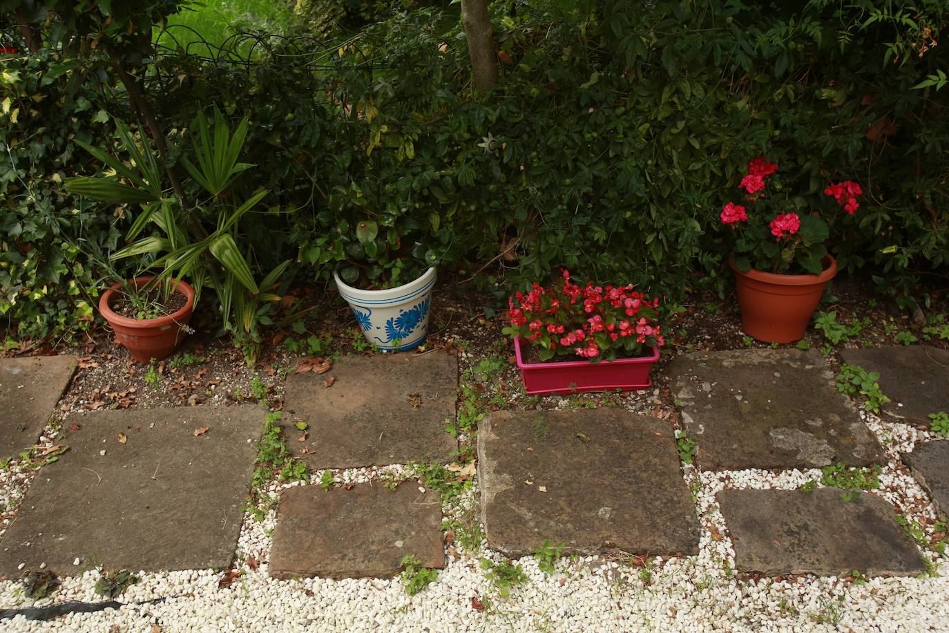 Tiestos en el jardín de Ana Isabel