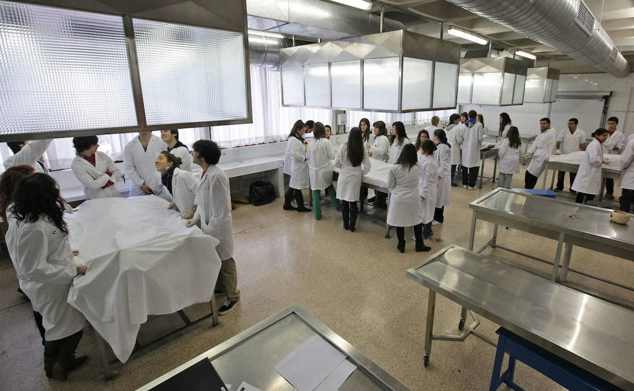 Estudiantes en la sala de disección de la Facultad de Medicina de la UPV en Leioa.