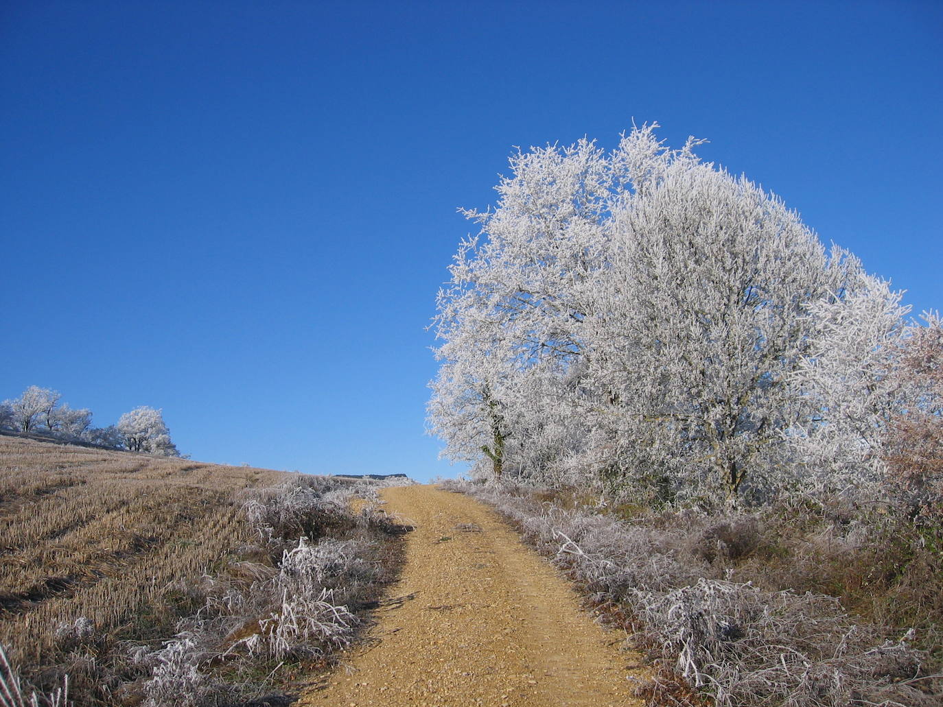 Salida de Butrera camino al Pantarra.