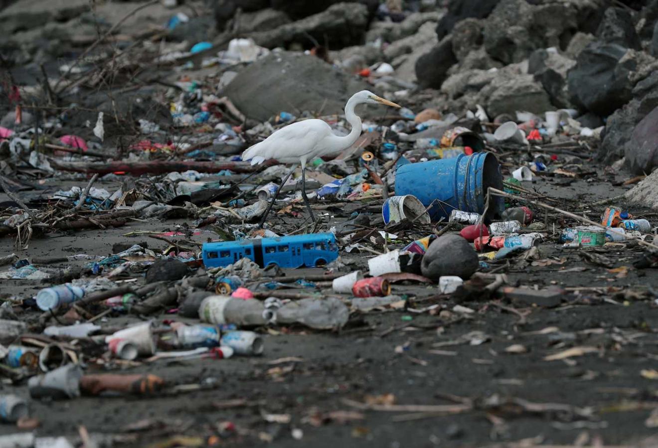 Abundantes residuos plásticos y basura en una de Panamá