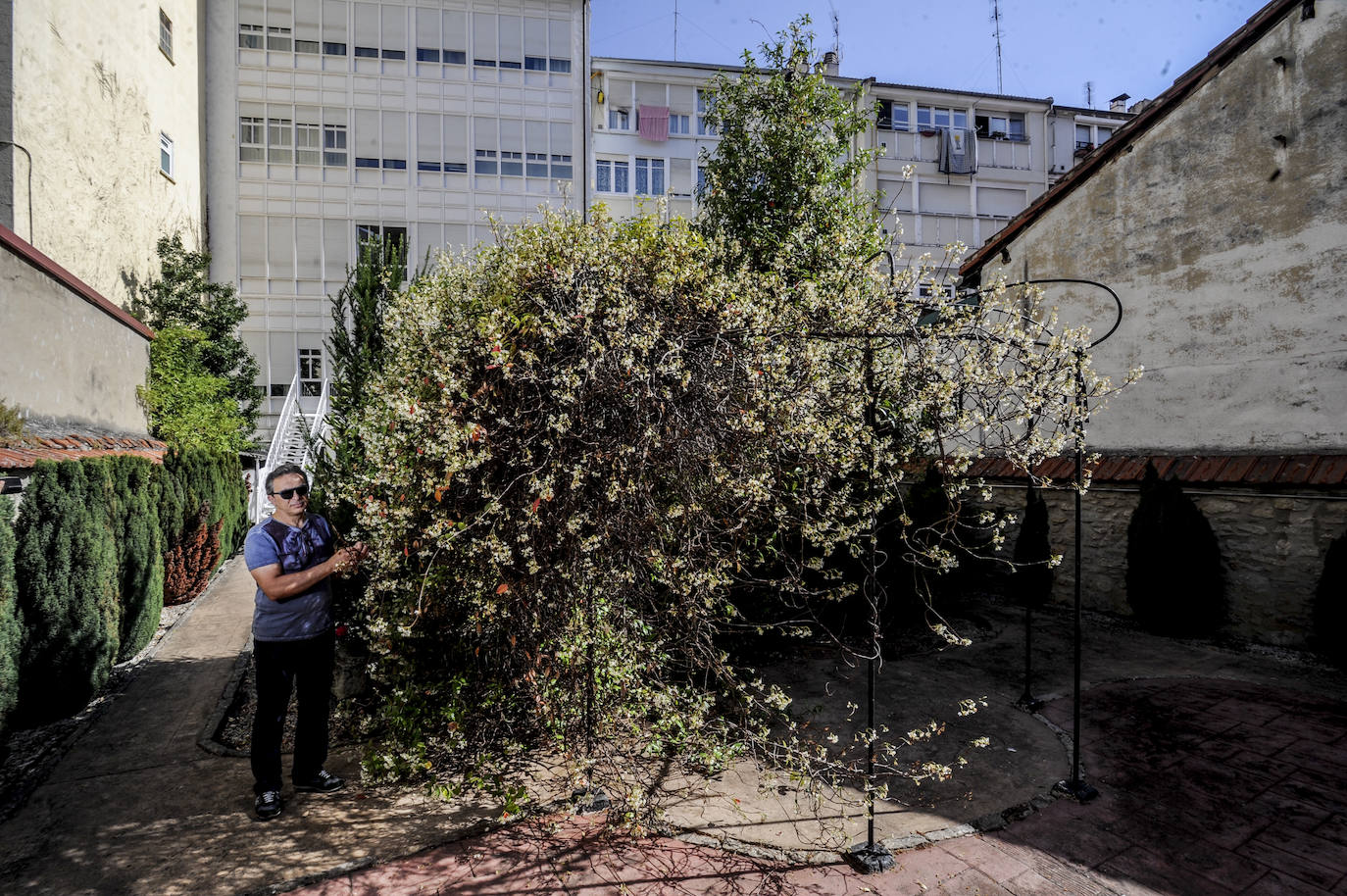 Fotos: Patios secretos del Ensanche de Vitoria