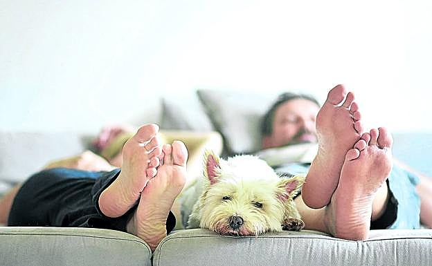 Una pareja se relaja en su cama junto a su perro.