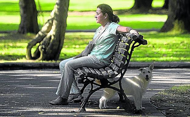 Una mujer disfruta de la sombra en un parque de Bilbao, que este mes ha vivido jornadas asfixiantes.