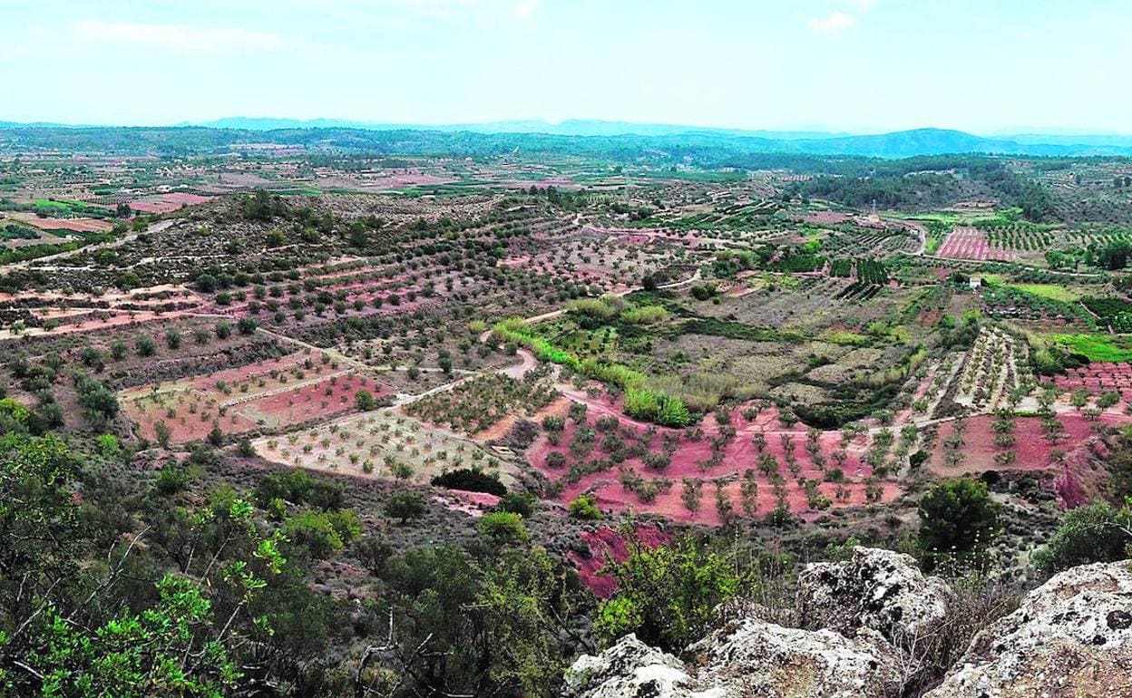 Paisaje agrícola valenciano que los autores ponen como ejemplo de ecosistema profundamente alterado por el ser humano.