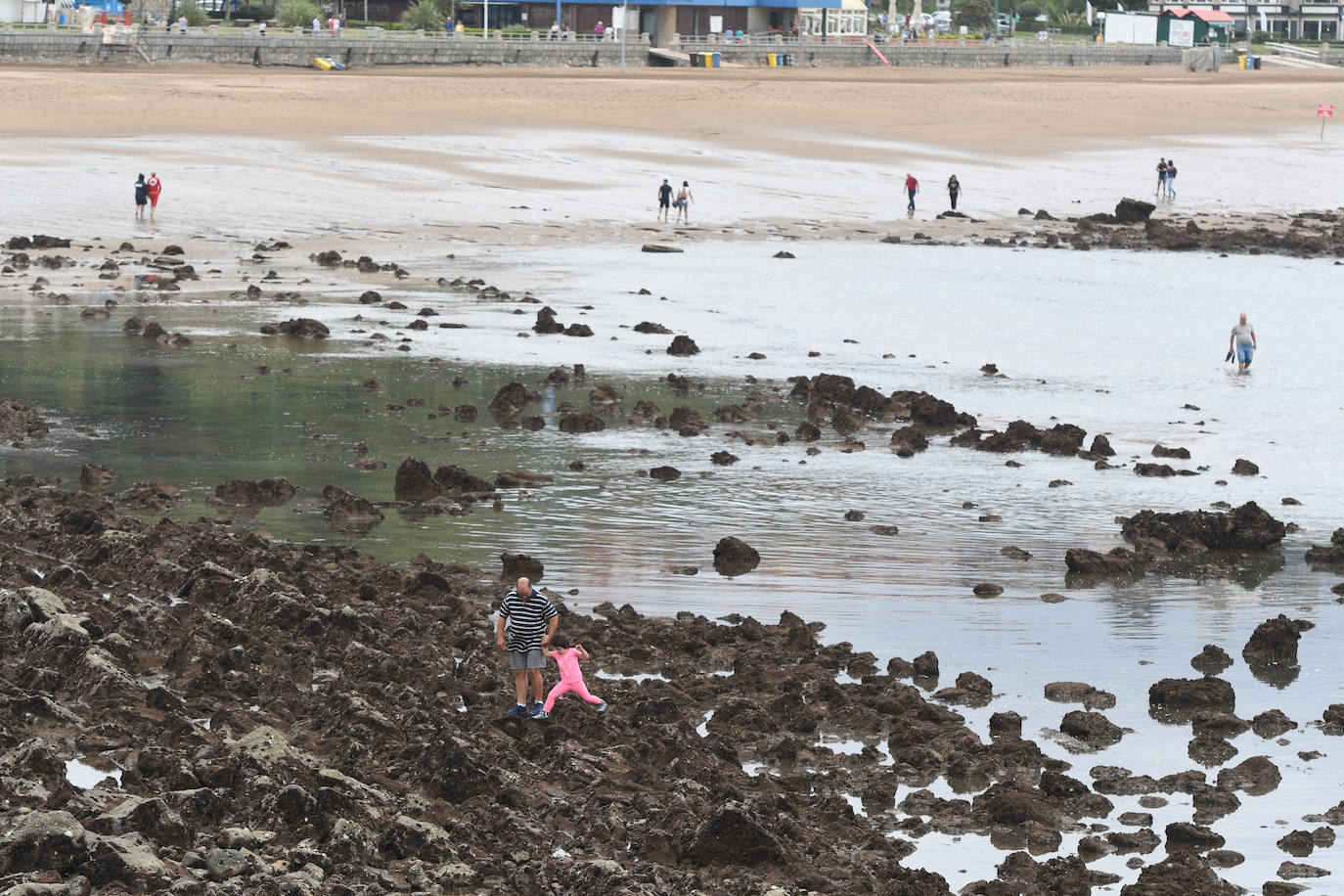 Fotos: Las mareas vivas dejan al desnudo las playas de Bizkaia