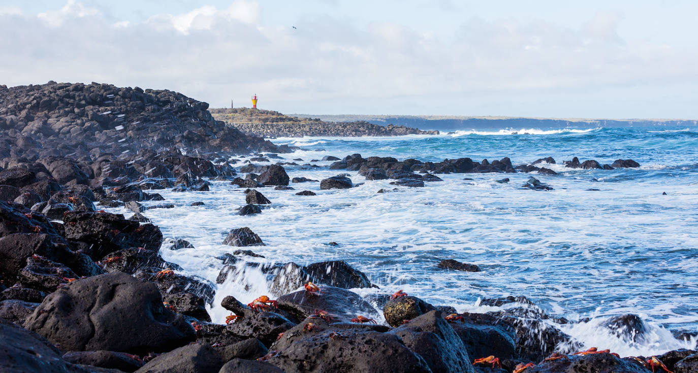 Las islas Galápagos, en Ecuador | Los cruceros y el elevado auge del turismo están poniendo en un peligro cada vez mayor la rica biodiversidad de la zona.