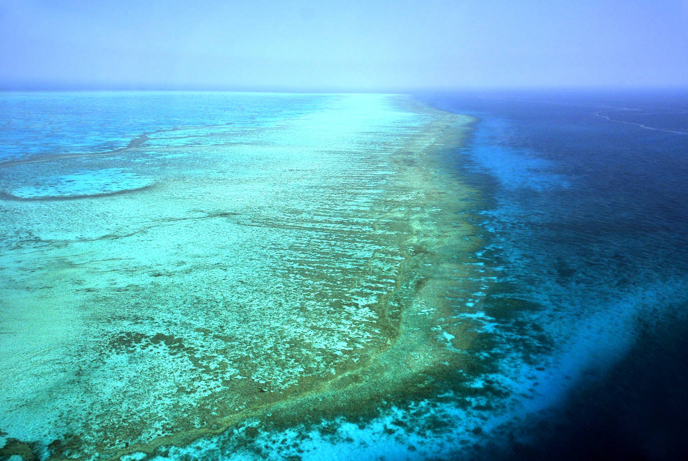 Gran Barrera de Coral, en Australia | Una estructura viva impresionante y visible desde el espacio, que podría desaparecer para el 2030 por el aumento en la acidez del agua.
