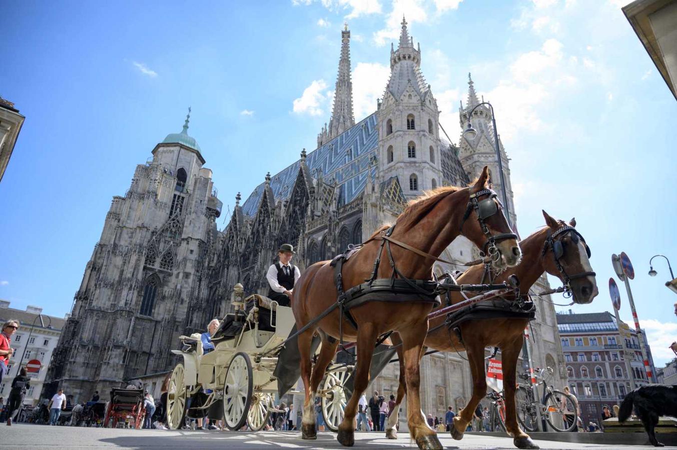 Un coche de caballos por la catedral de San Esteban en Viena, Austria