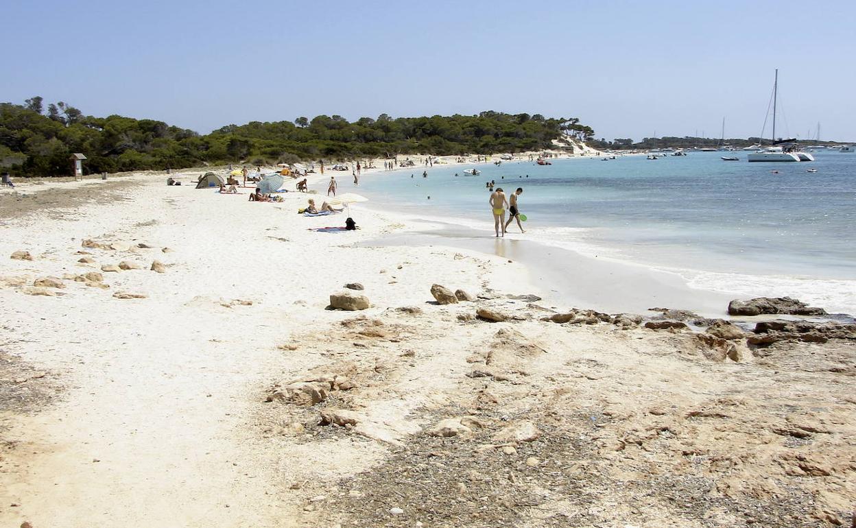 Bañista y veleros comparten las apacibles aguas de la playa de Es Carbó.