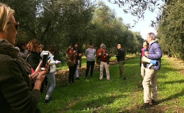 Visita al olivar de Aubocassa. 