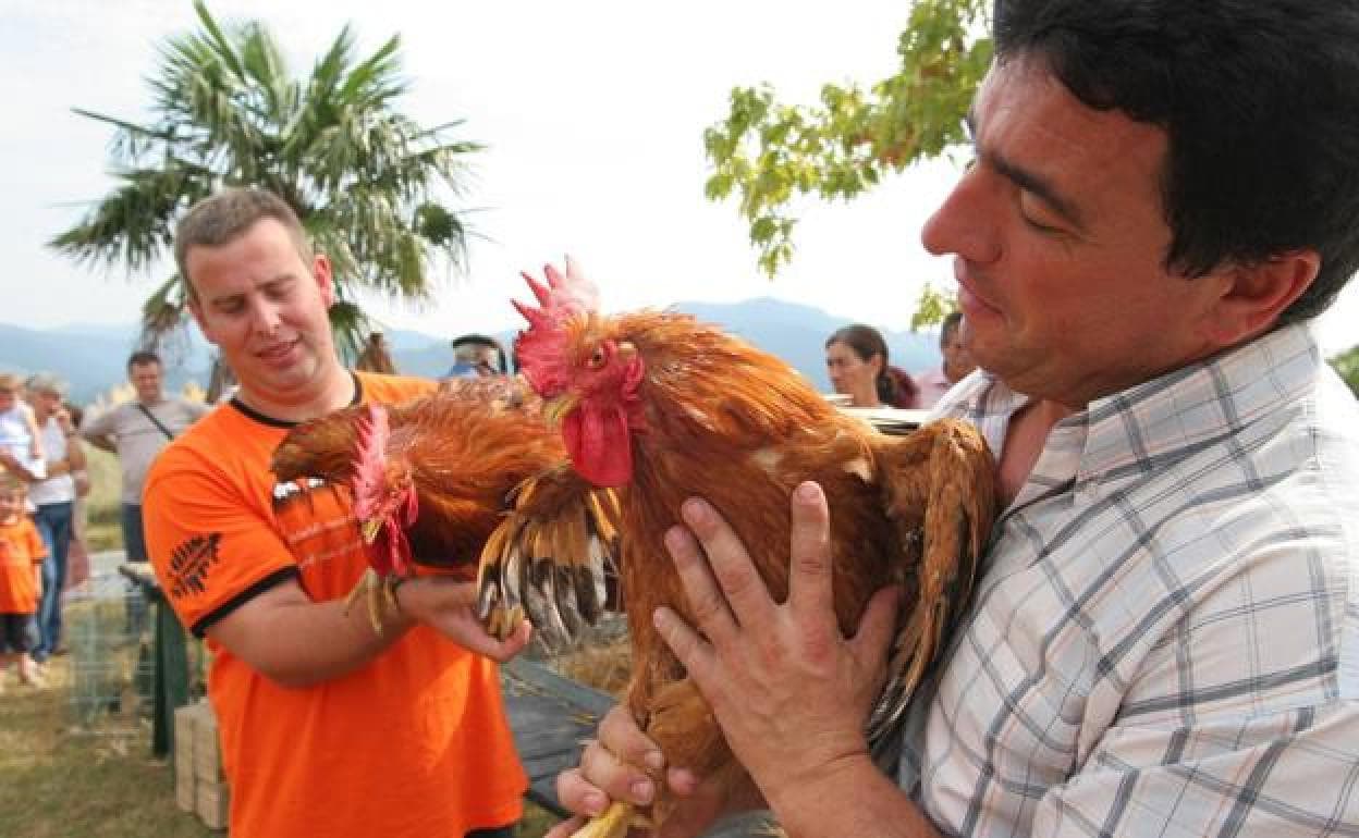 La exhibición de aves no faltará en la cita de Mendata. 