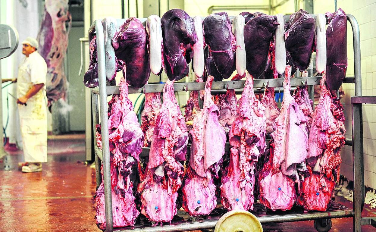 El matadero de Llodio se reabrirá tras una reforma para evitar los vertidos al río Nervión. 