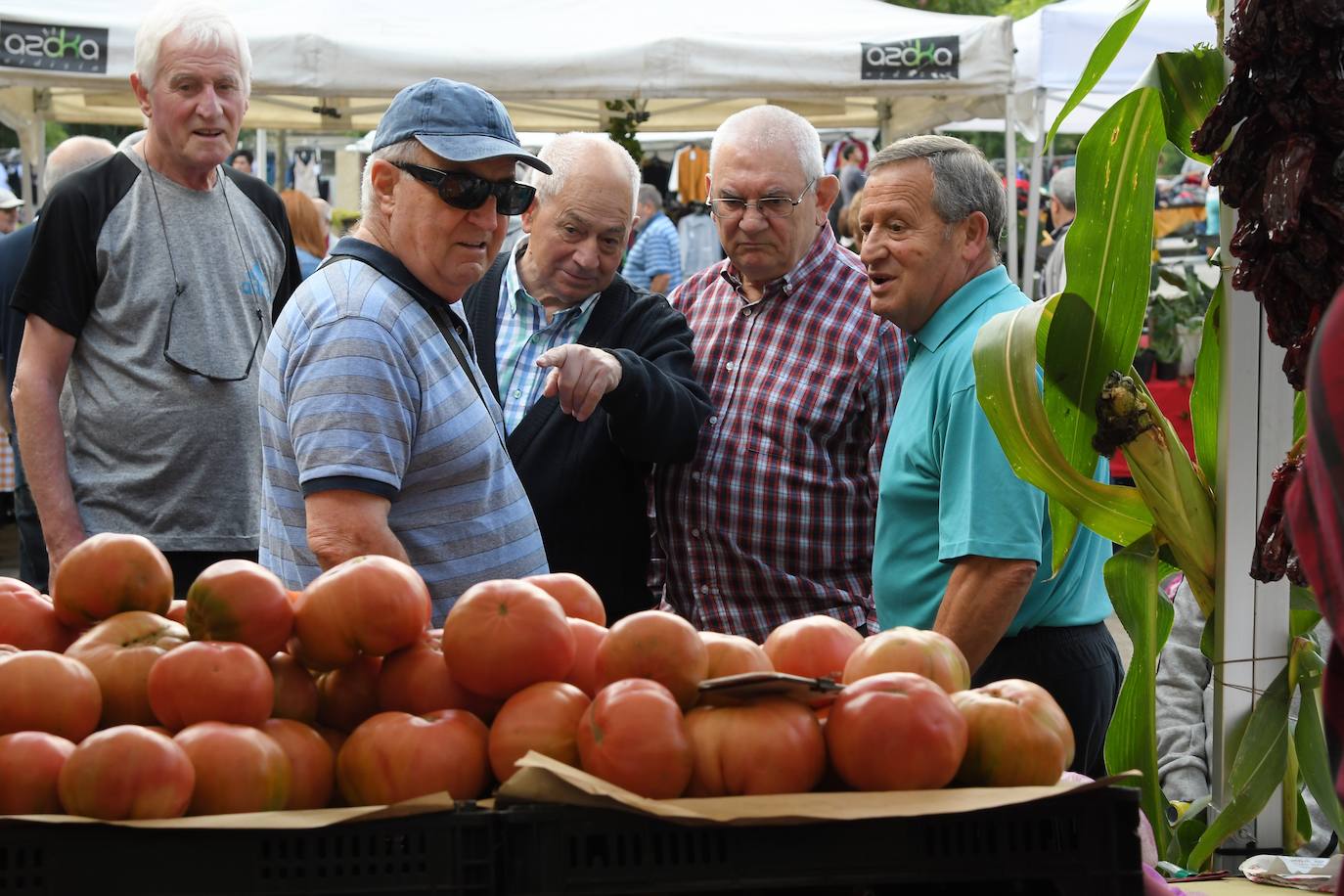 Fotos: Feria del queso de Ordizia