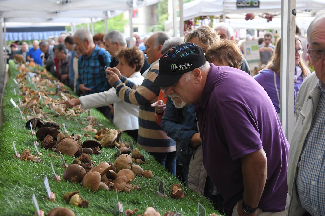 Fotos: Feria del queso de Ordizia