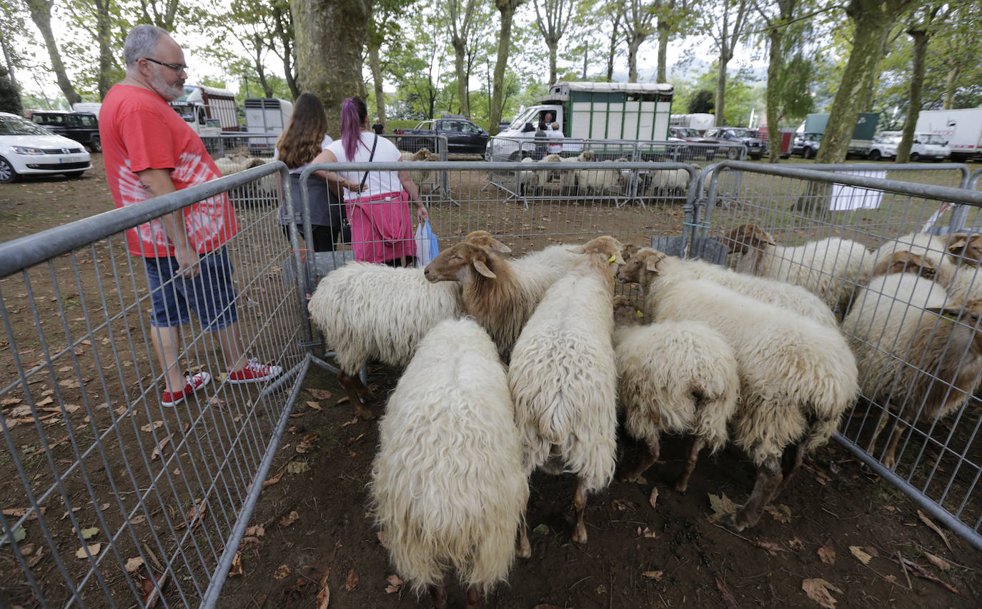 Fotos: La feria agrícola de Muskiz reúne 90 puestos