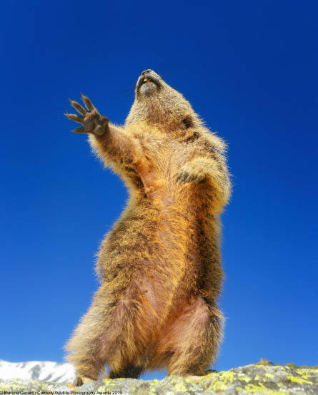 'Bailando', una foto de Martina Gebert.