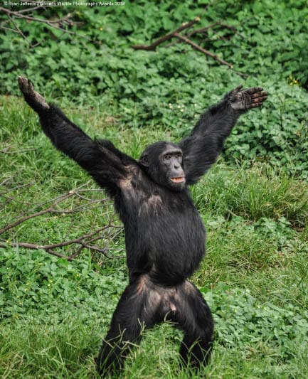 Ryan Jefferds firma 'Esoy abierto', una foto tomada en Uganda.