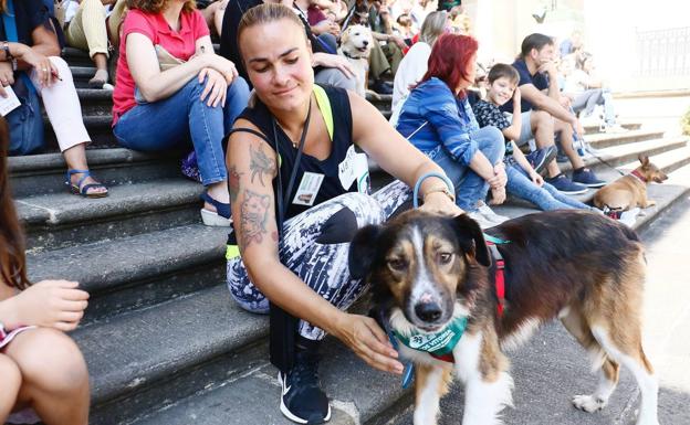 La plaza de la Provincia acogerá una nueva pasarela canina.