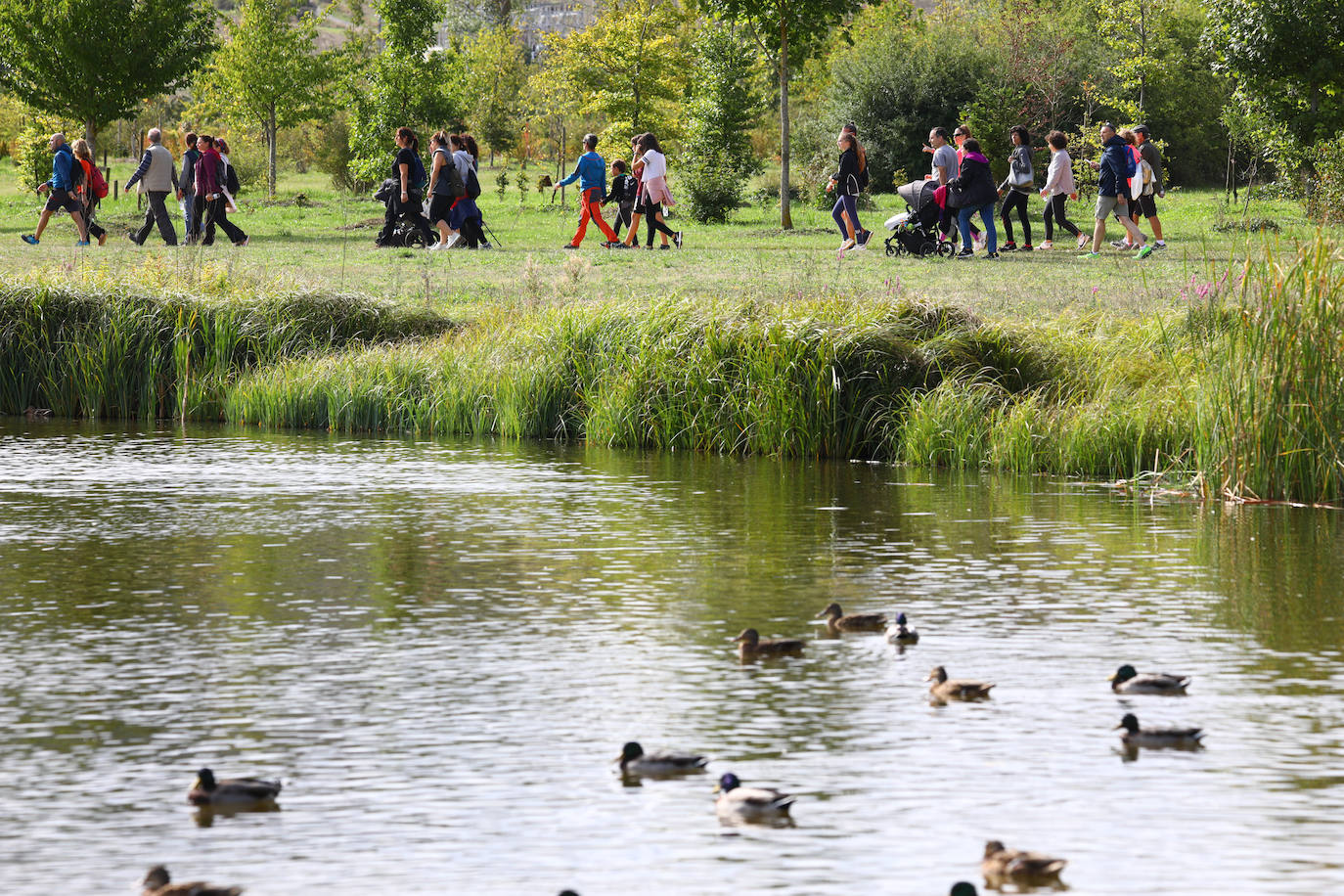 La popular cita ha reunido este año a cerca de dos mil participantes en un recorrido cargado de buen ambiente por el parque de Olárizu. Todo lo recaudado a través de las inscripciones para esta prueba que nació en 2012, coincidiendo con el reinado de Vitoria como 'Green Capital', irá destinado a la agencia de colocación de parados que Cáritas tiene en el barrio de Zaramaga.