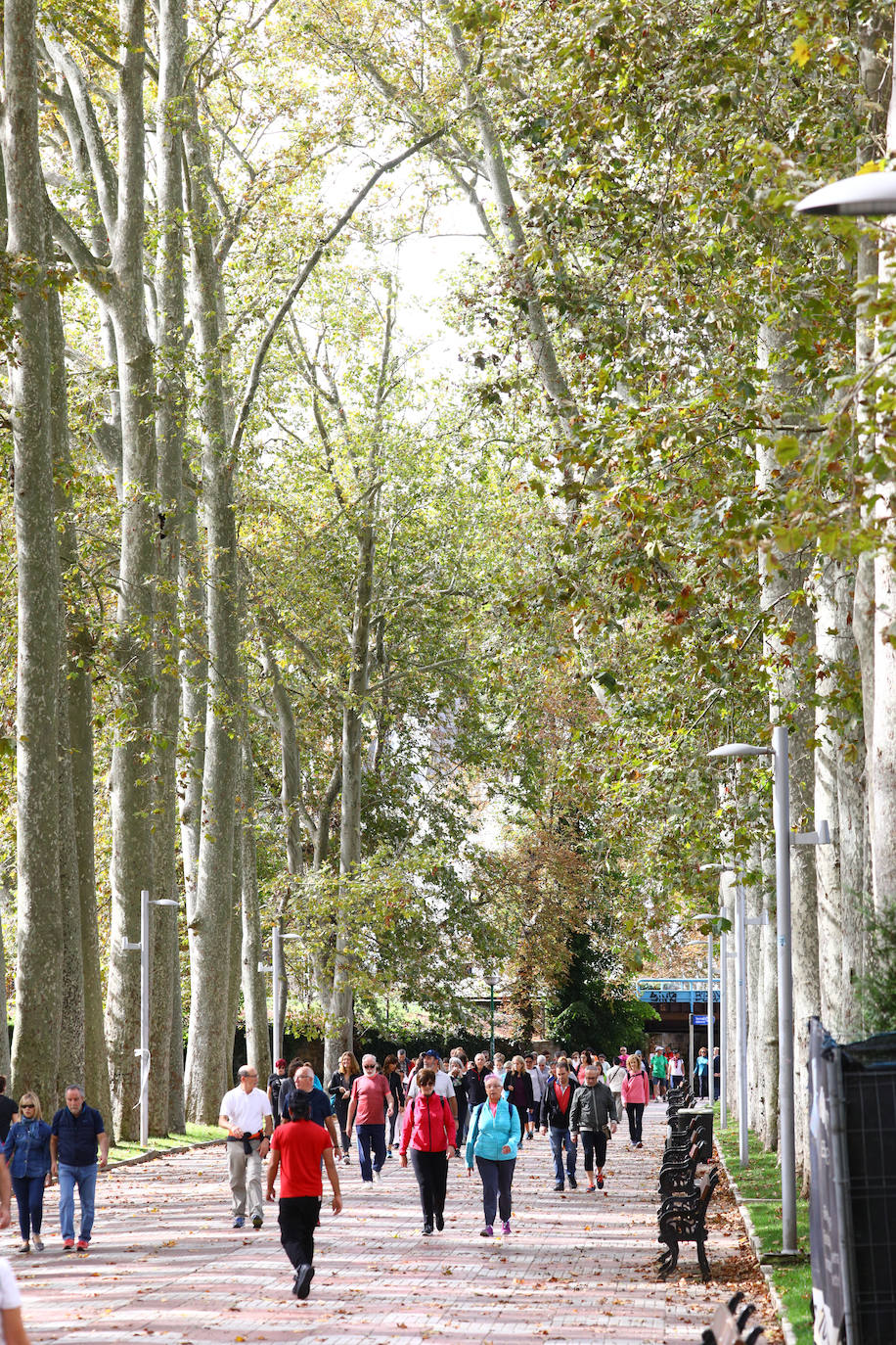 La popular cita ha reunido este año a cerca de dos mil participantes en un recorrido cargado de buen ambiente por el parque de Olárizu. Todo lo recaudado a través de las inscripciones para esta prueba que nació en 2012, coincidiendo con el reinado de Vitoria como 'Green Capital', irá destinado a la agencia de colocación de parados que Cáritas tiene en el barrio de Zaramaga.