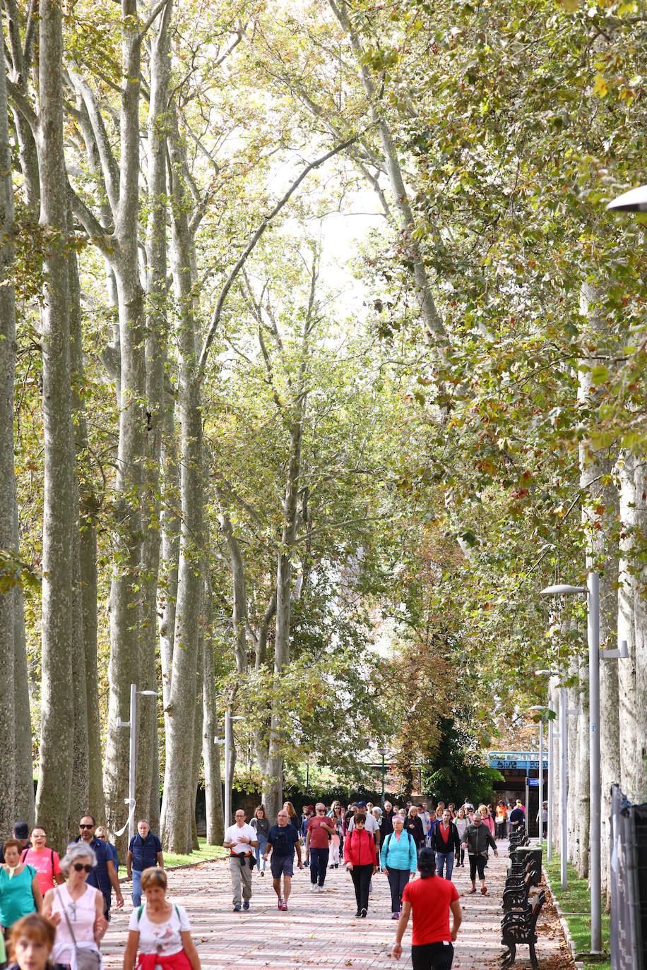 La popular cita ha reunido este año a cerca de dos mil participantes en un recorrido cargado de buen ambiente por el parque de Olárizu. Todo lo recaudado a través de las inscripciones para esta prueba que nació en 2012, coincidiendo con el reinado de Vitoria como 'Green Capital', irá destinado a la agencia de colocación de parados que Cáritas tiene en el barrio de Zaramaga.